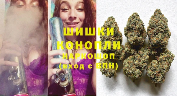 молекула духа Нягань