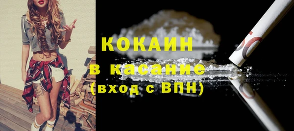 гидра Няндома