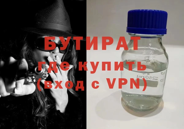 гидра Няндома