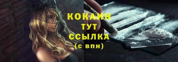 шишки Остров