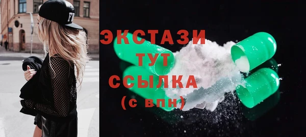 гидра Няндома