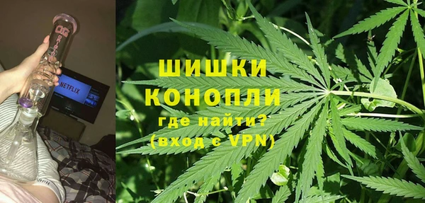 молекула духа Нягань
