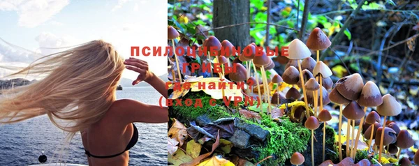СК Осинники