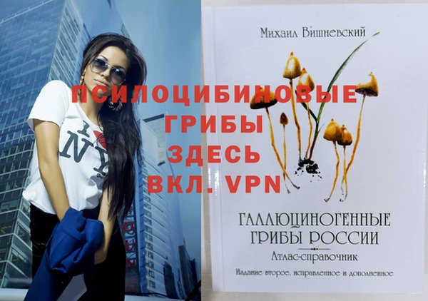 гидра Няндома