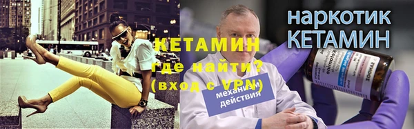 гидра Няндома