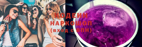 СК Осинники