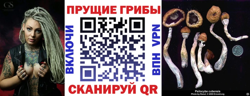 Псилоцибиновые грибы MAGIC MUSHROOMS  купить   Грайворон 