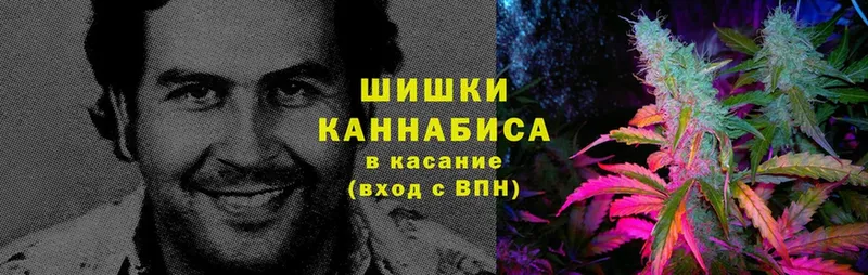 Бошки марихуана LSD WEED  где купить наркоту  hydra рабочий сайт  Грайворон 